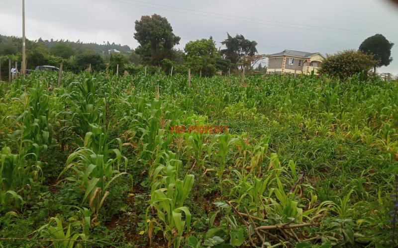 Prime 50 By 100ft Plots For Sale!!! In Kamangu, Kikuyu