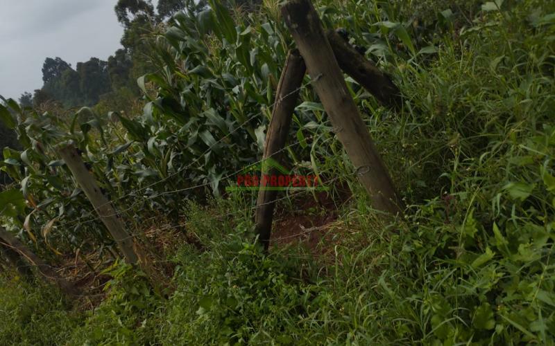 Prime 50 By 100ft Plots For Sale!!! In Kamangu, Kikuyu