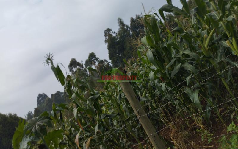 Prime 50 By 100ft Plots For Sale!!! In Kamangu, Kikuyu