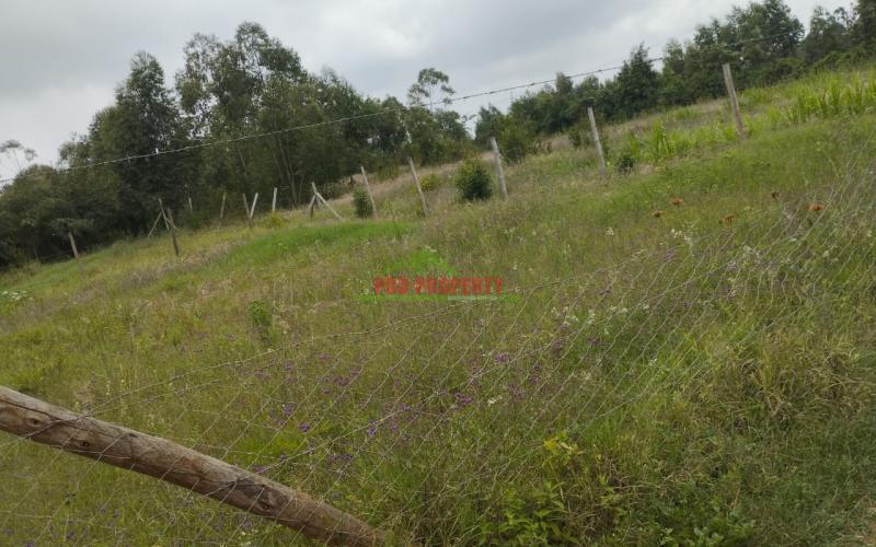 Prime 50 By 100 Residential Plots For Sale In Kikuyu- Lusengeti