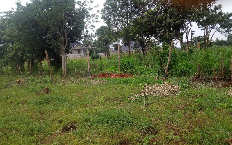 Prime  50 by 100 plots for sale in Kikuyu Mai-i -hii