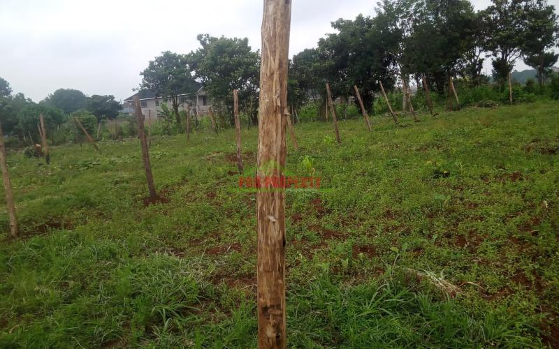 Prime  50 By 100 Plots For Sale In Kikuyu Mai-i -hii