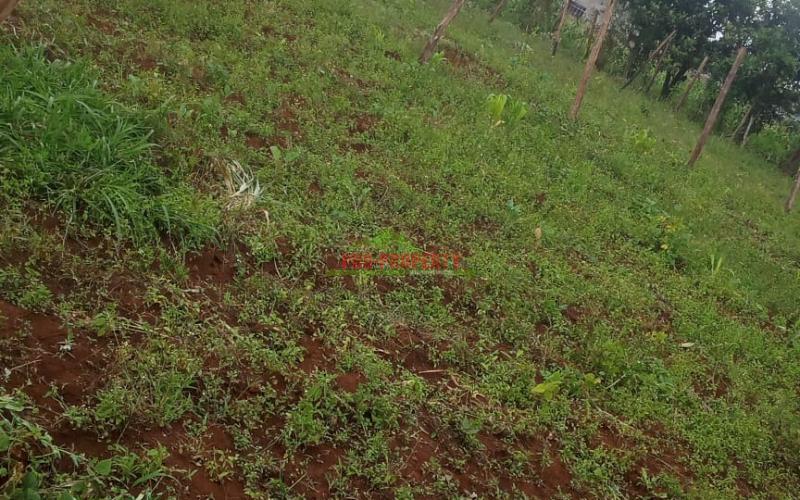 Prime  50 By 100 Plots For Sale In Kikuyu Mai-i -hii