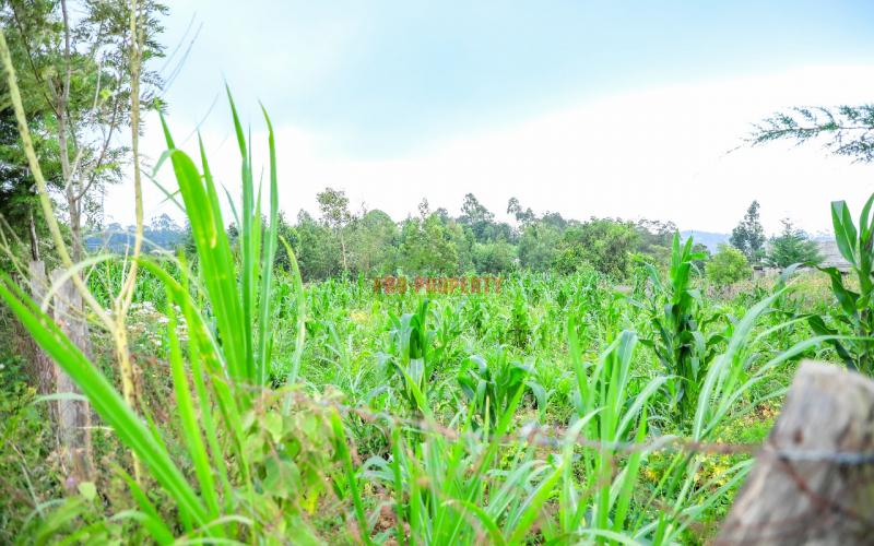 Prime 100 By 100ft  Plot In Kikuyu Kamangu