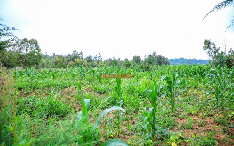 Prime 100 By 100ft  Plot In Kikuyu Kamangu