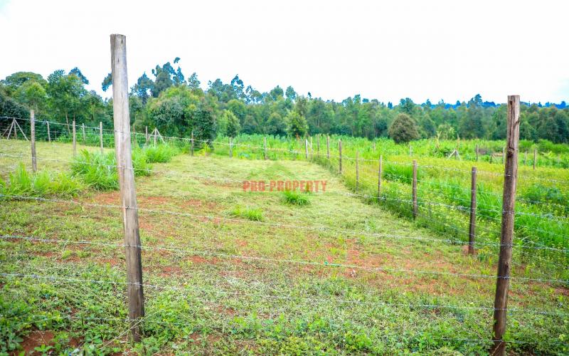 Prime 50 By 100 Plots For Sale In Kikuyu Kamangu Ngamba Area
