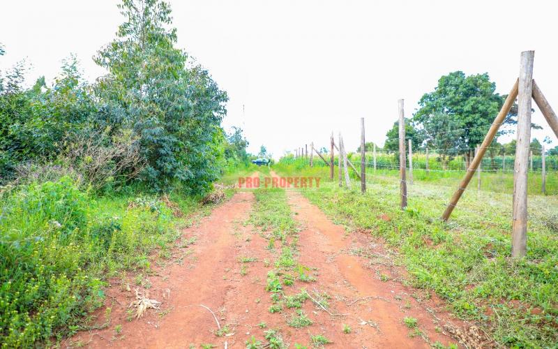 Prime 50 By 100 Plots For Sale In Kikuyu Kamangu Ngamba Area