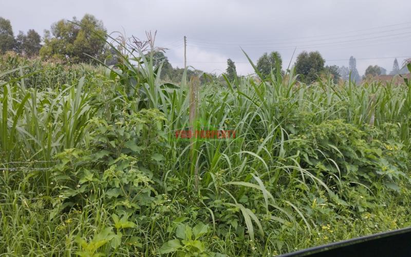 Prime 50*100 Ft Plot For Sale In Kikuyu- Ondiri
