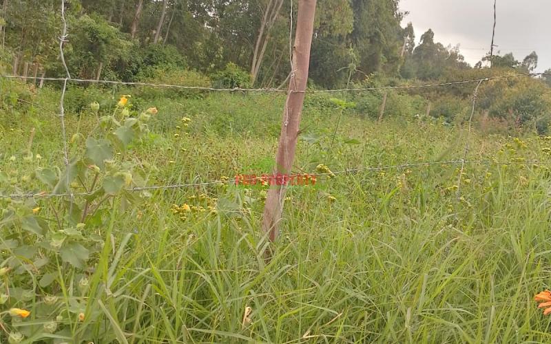 Prime 50 By 100 Residential Plots For Sale In Kikuyu Kamangu.