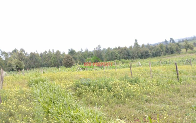 A1 50 by 100ft plots for sale in Kamangu,Ngamba