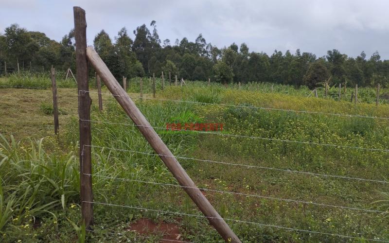 A1 50 By 100ft Plots For Sale In Kamangu,ngamba