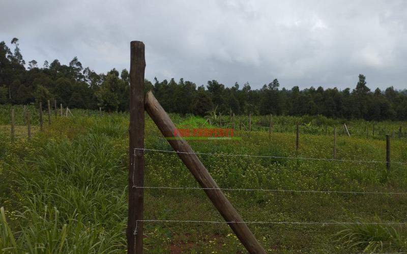 A1 50 By 100ft Plots For Sale In Kamangu,ngamba