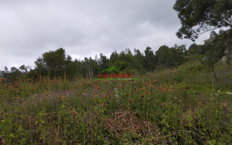 Prime 50 By 100 Ft Residential Plot For Sale In Kikuyu-kamangu