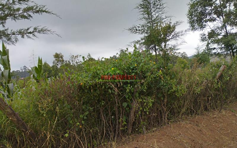 Prime 100*100 Ft Residential Plot For Sale In Kikuyu-kamangu