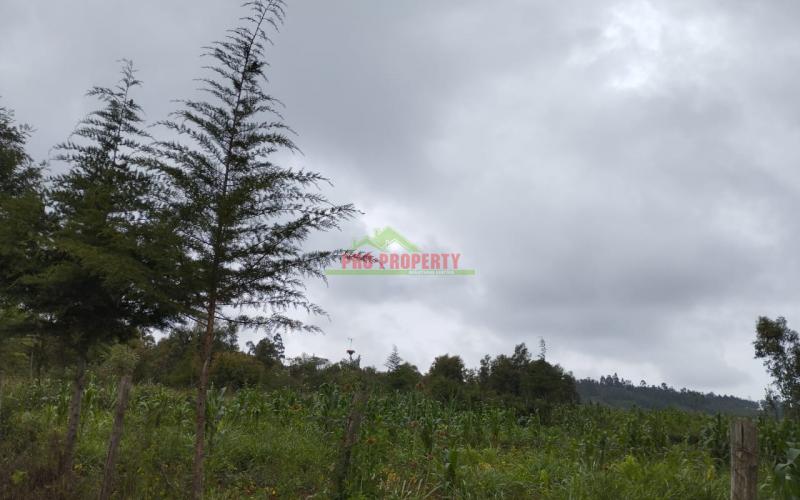 Prime 100*100 Ft Residential Plot For Sale In Kikuyu-kamangu