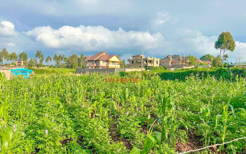 Prime Residential Plot For Sale In Kikuyu, Gikambura.