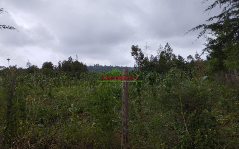 Prime 100*100 Ft Residential Plot For Sale In Kikuyu-kamangu