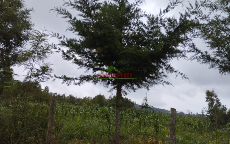 Prime 100*100 Ft Residential Plot For Sale In Kikuyu-kamangu