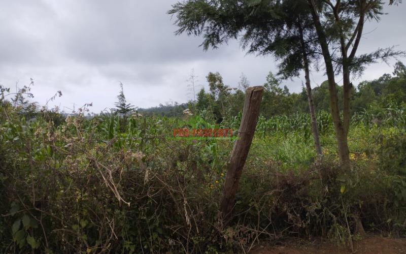 Prime 100*100 Ft Residential Plot For Sale In Kikuyu-kamangu