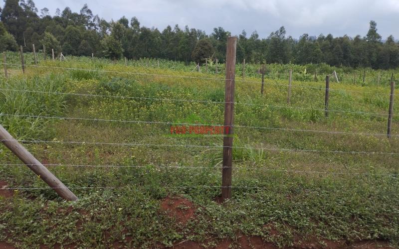Prime 50 By 100 Ft Residential Plots For Sale In Kikuyu- Kamangu - Ngambaa