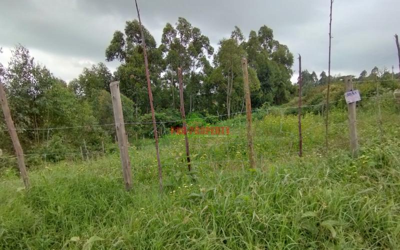 PRIME 50 BY 100 FT RESIDENTIAL PLOTS FOR SALE IN KIKUYU- KAMANGU - NGAMBAA