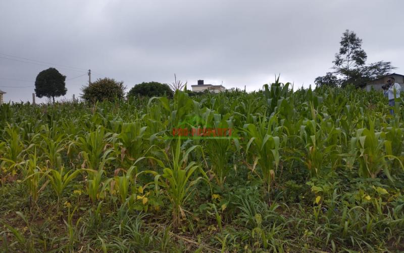 Prime 60 By 100 Ft Residential Plot For Sale In Kikuyu-kamangu