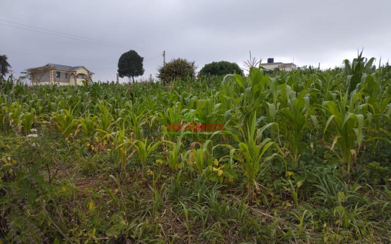 Prime 60 By 100 Ft Residential Plot For Sale In Kikuyu-kamangu