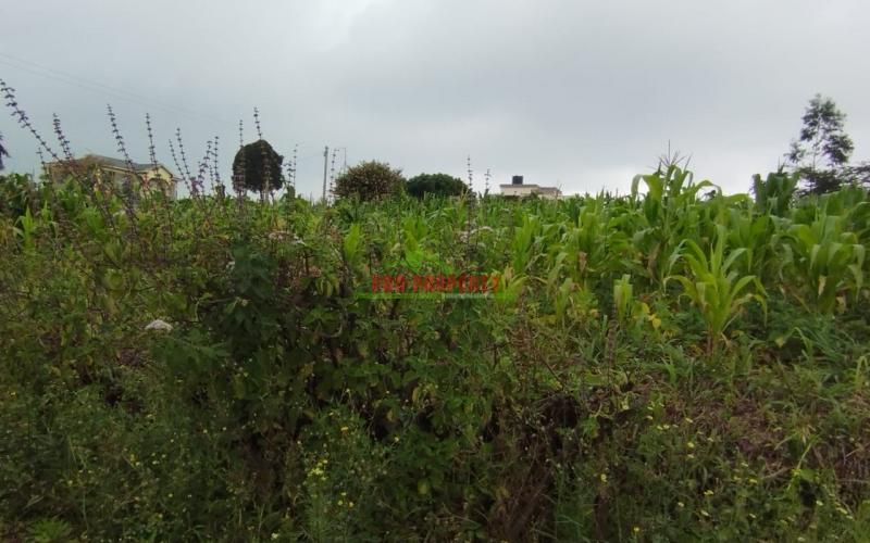 Prime 60 By 100 Ft Residential Plot For Sale In Kikuyu-kamangu