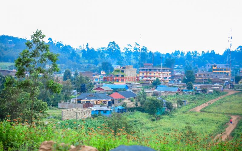 Prime 100*100ft plot for sale in kikuyu, kamangu