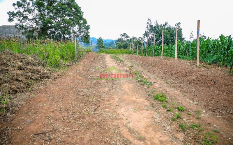 Prime 100*100ft Plot For Sale In Kikuyu, Kamangu