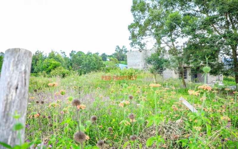 Prime 100*100ft Plot For Sale In Kikuyu, Kamangu