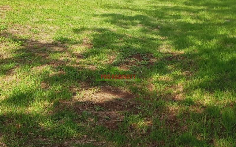 Prime 100 By 100 Residential Plots For Sale In Ngong Tulivu.