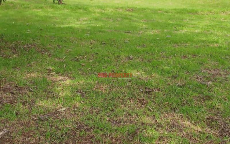 Prime 100*100 Ft Residential Plots For Sale In A Gated Community