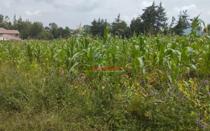 Prime 100 By 100 Residential Plots For Sale In Kikuyu Kamangu.
