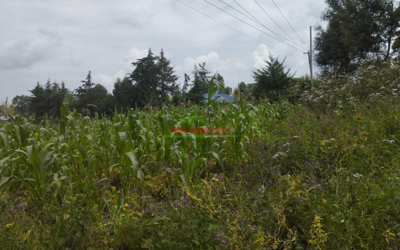 Prime 100*100 Ft Residential Plot For Sale In Kikuyu-kamangu