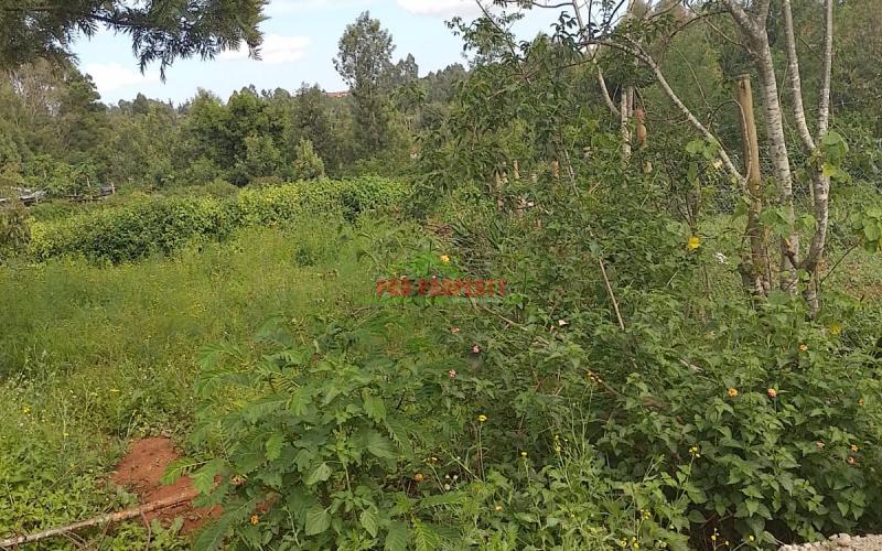 Prime 50 By 100ft Plots For Sale In Migumo-ini, Kikuyu