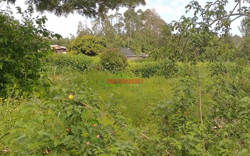 Prime 50 By 100ft Plots For Sale In Migumo-ini, Kikuyu