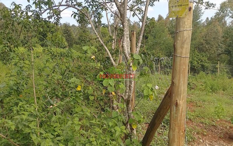 Prime 50 By 100ft Plots For Sale In Migumo-ini, Kikuyu