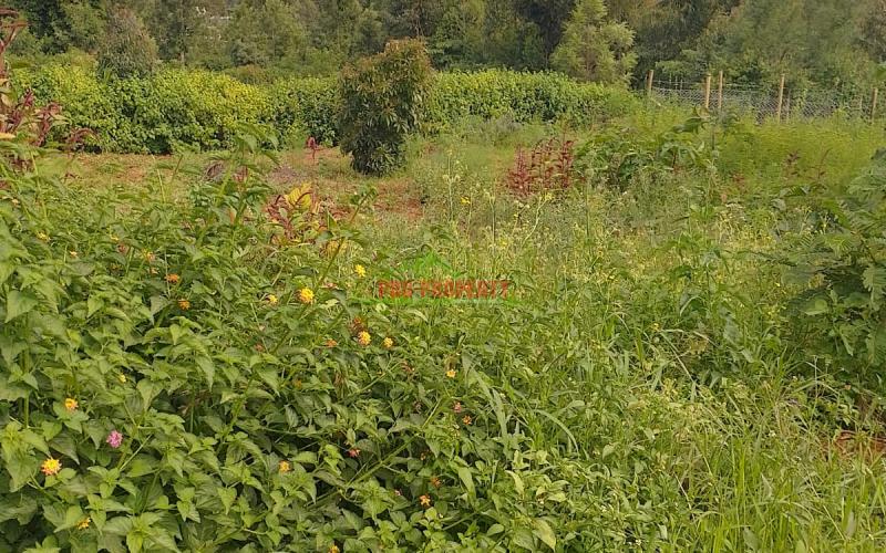 Prime 50 By 100ft Plots For Sale In Migumo-ini, Kikuyu