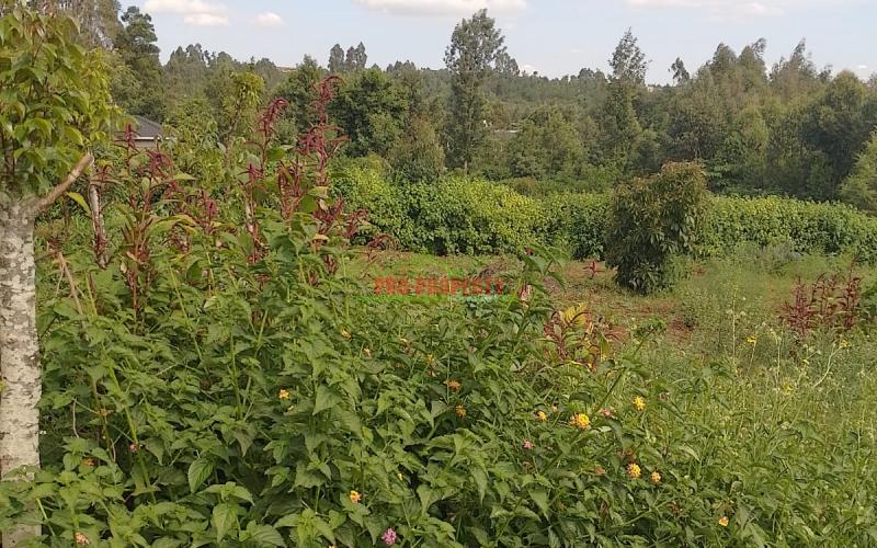 Prime 50 By 100ft Plots For Sale In Migumo-ini, Kikuyu