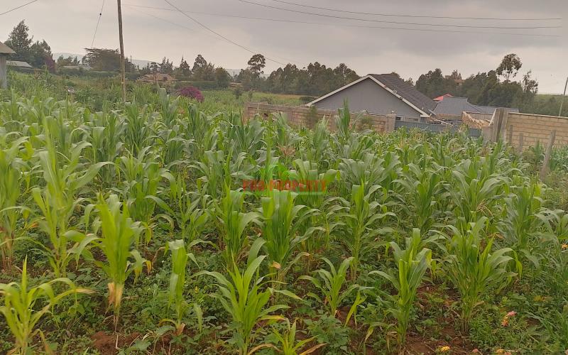 Prime 50 By 100 Residential Plots For Sale In Kikuyu Kamangu.