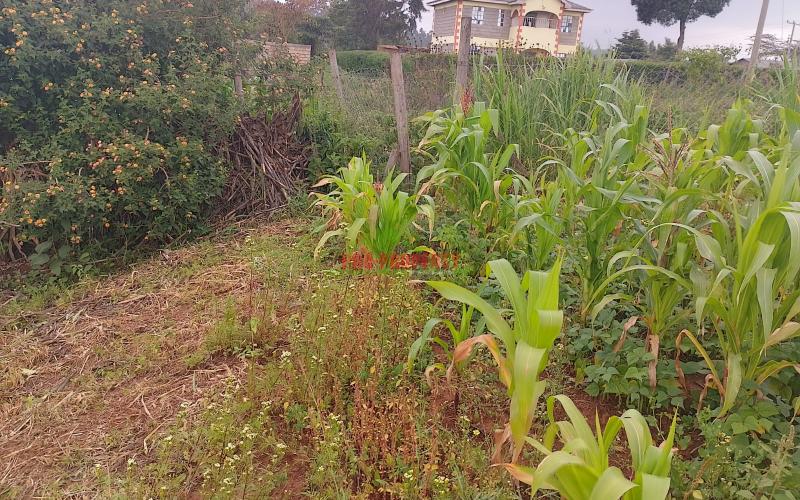 Prime 50 By 100 Residential Plots For Sale In Kikuyu Kamangu.