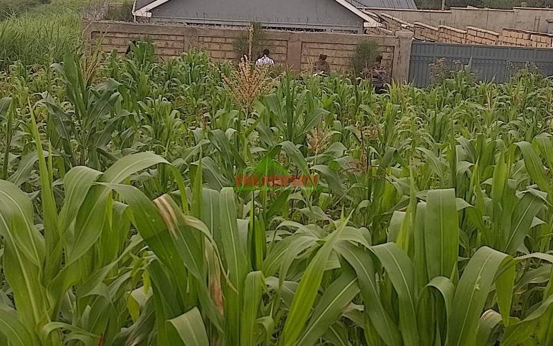 Prime 50 By 100 Residential Plots For Sale In Kikuyu Kamangu.