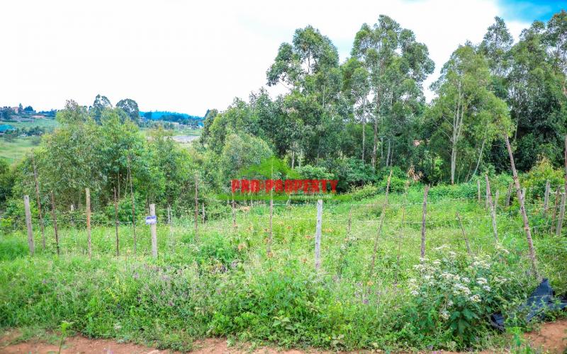 Prime   50 By 100ft  Residential Plot In Kamangu ,kikuyu
