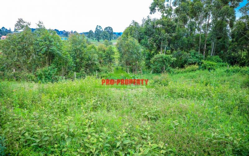 Prime   50 By 100ft  Residential Plot In Kamangu ,kikuyu