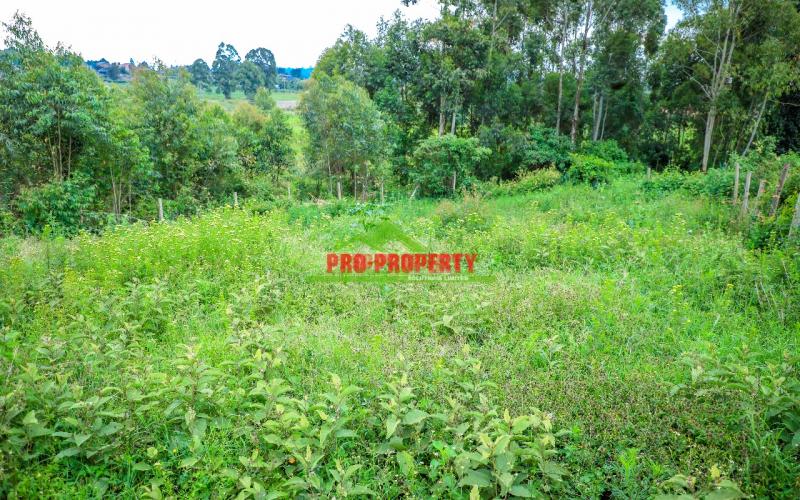 Prime 50 By 100ft Plot For Sale In Kikuyu,kamangu