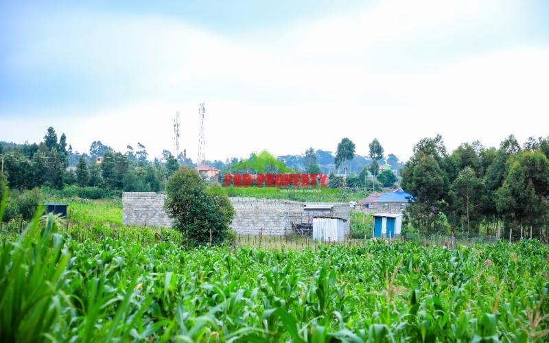 Prime 50 By 100ft Plot For Sale In Kikuyu,kamangu