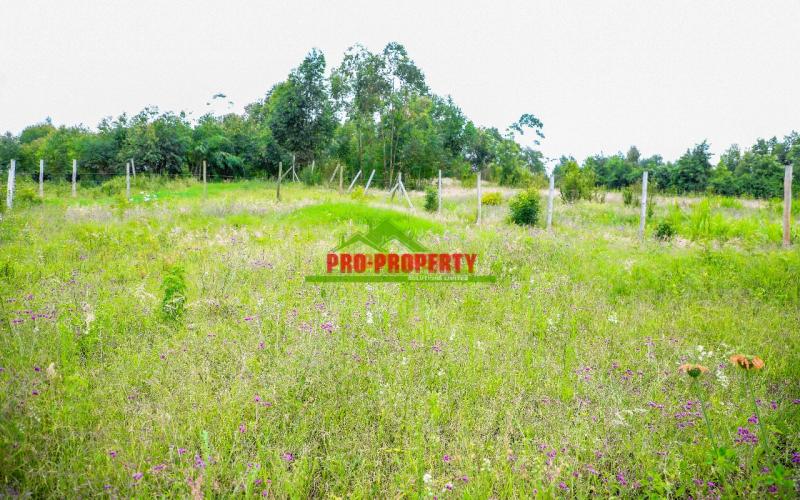 Prime Plot For Sale In Kikuyu Lusigetti