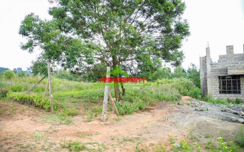 Prime 50 By 100 Residential Plots For Sale In Kikuyu Kamangu.