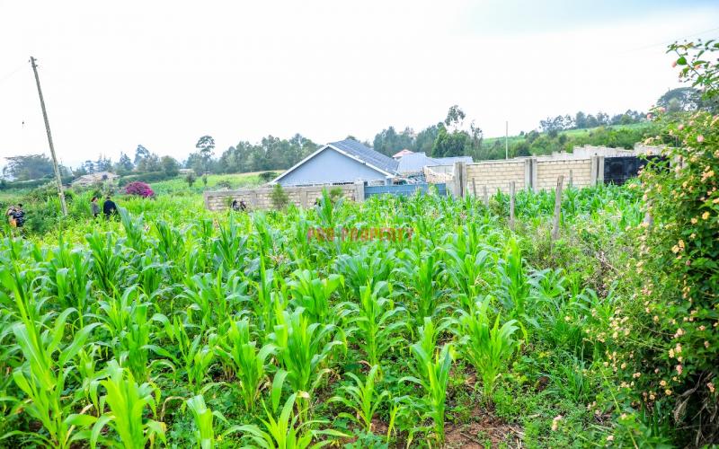 Prime Residential Plot For Sale In Kikuyu,kamangu